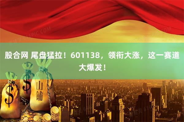 股合网 尾盘猛拉！601138，领衔大涨，这一赛道大爆发！