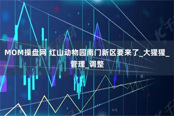 MOM操盘网 红山动物园南门新区要来了_大猩猩_管理_调整
