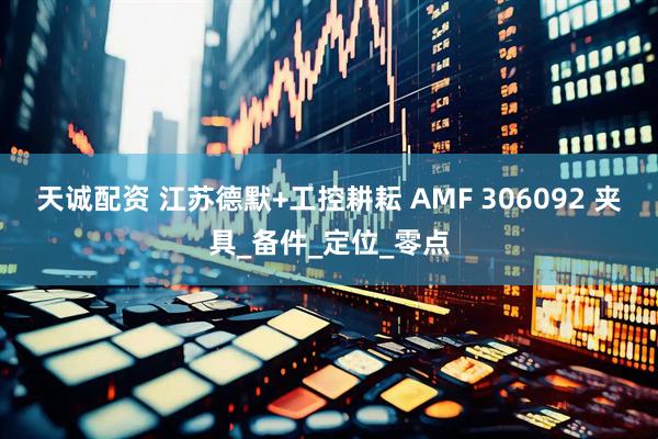 天诚配资 江苏德默+工控耕耘 AMF 306092 夹具_备件_定位_零点
