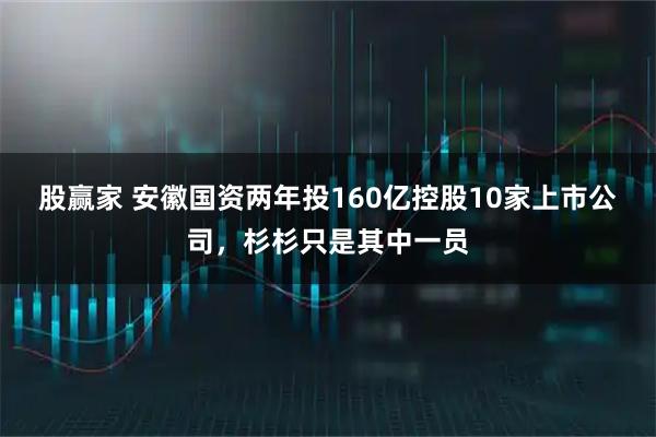 股赢家 安徽国资两年投160亿控股10家上市公司，杉杉只是其中一员
