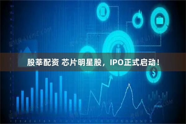 股莘配资 芯片明星股，IPO正式启动！