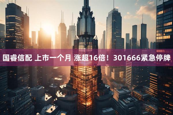 国睿信配 上市一个月 涨超16倍！301666紧急停牌