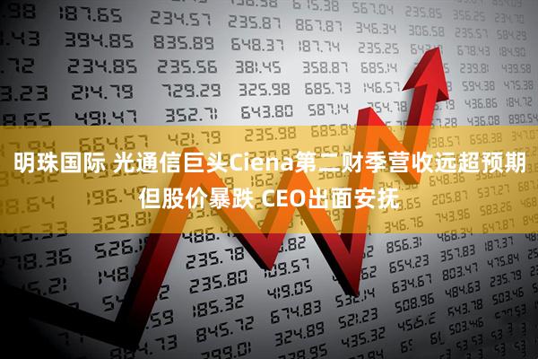 明珠国际 光通信巨头Ciena第二财季营收远超预期但股价暴跌 CEO出面安抚